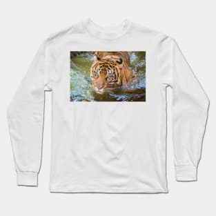 Tiger playing in some water Long Sleeve T-Shirt